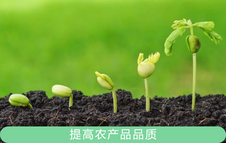 甜菜堿對(duì)植物的抗逆性