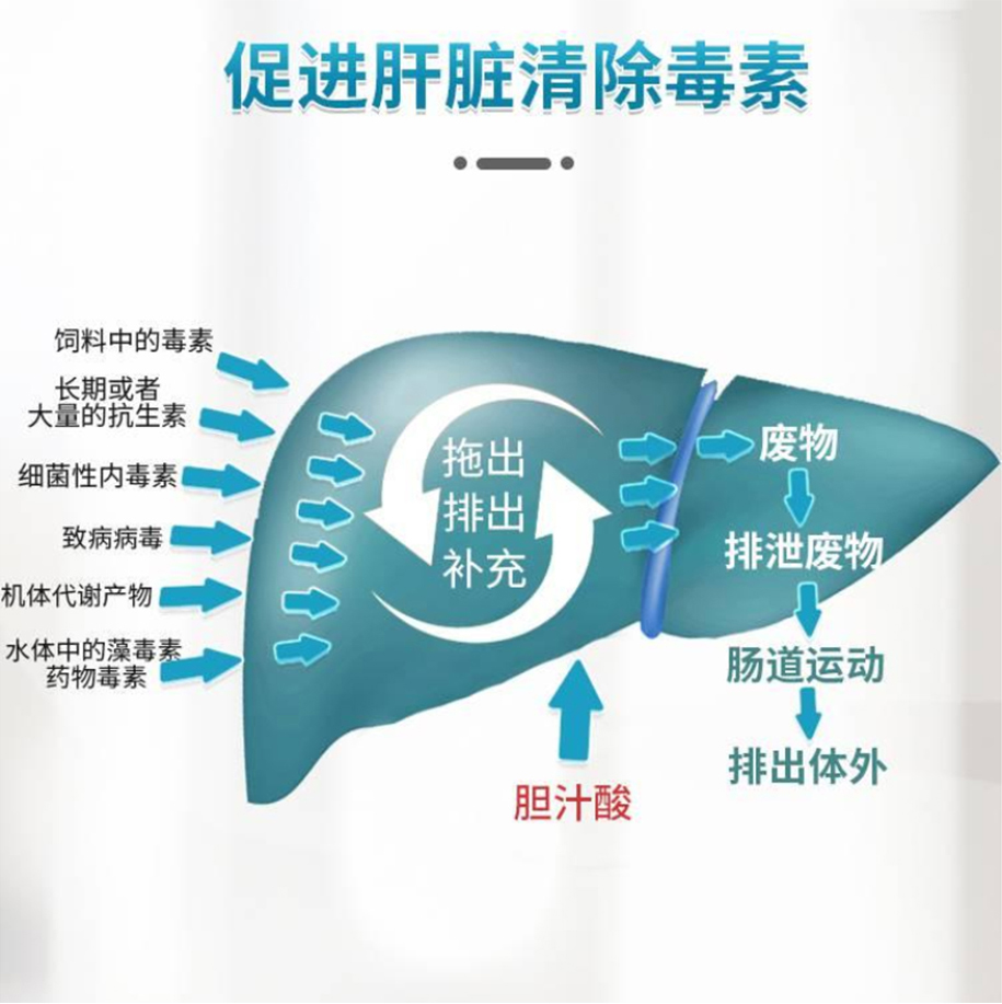 水產(chǎn)膽汁酸_04