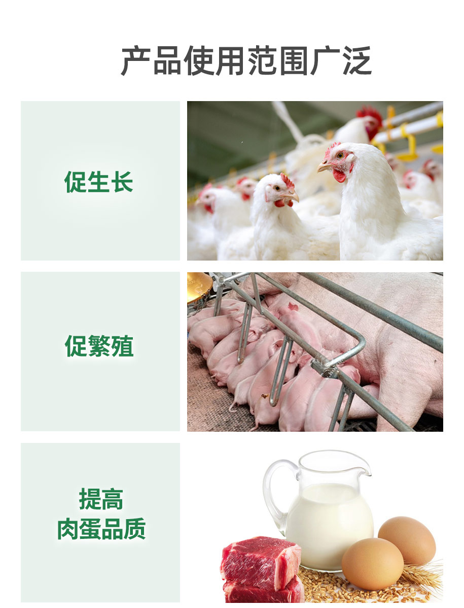 甜菜堿水劑飼料級_07