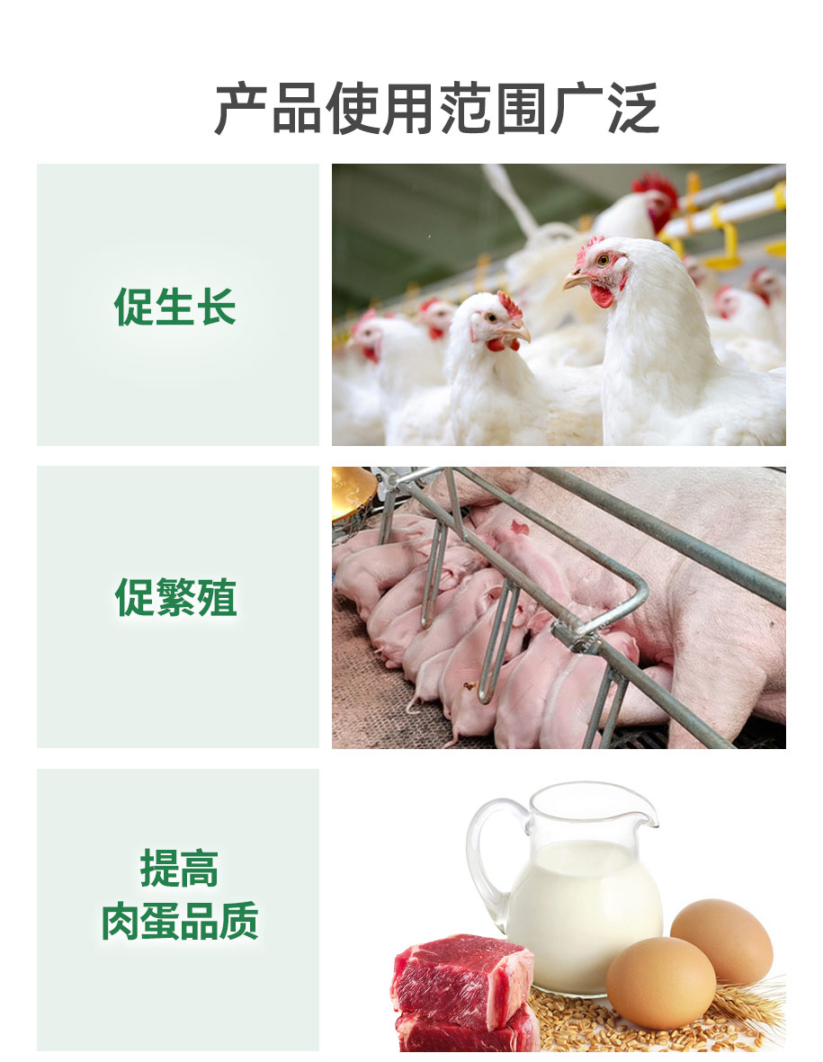 75甜菜堿飼料級_07