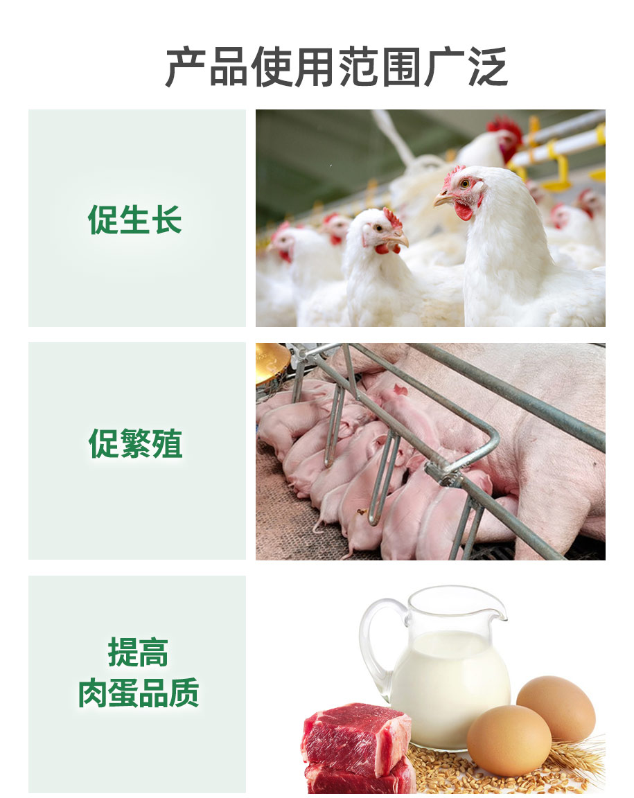 復(fù)合甜菜堿飼料級_07